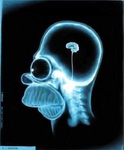 homer-head.jpg