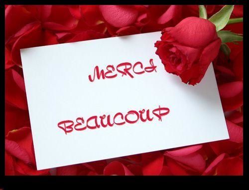 merci-beaucoup