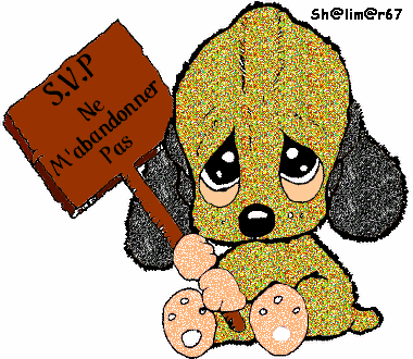 gif-chien.gif