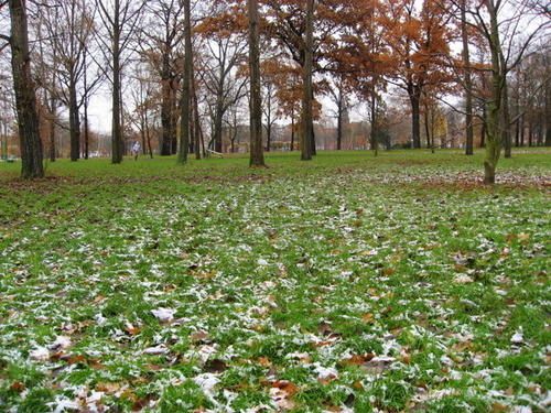 Neige-traces.jpg