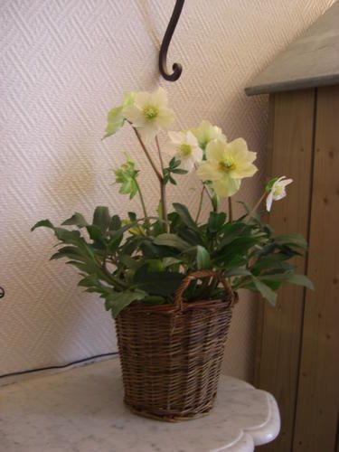 Chantier-anniv-022.jpg