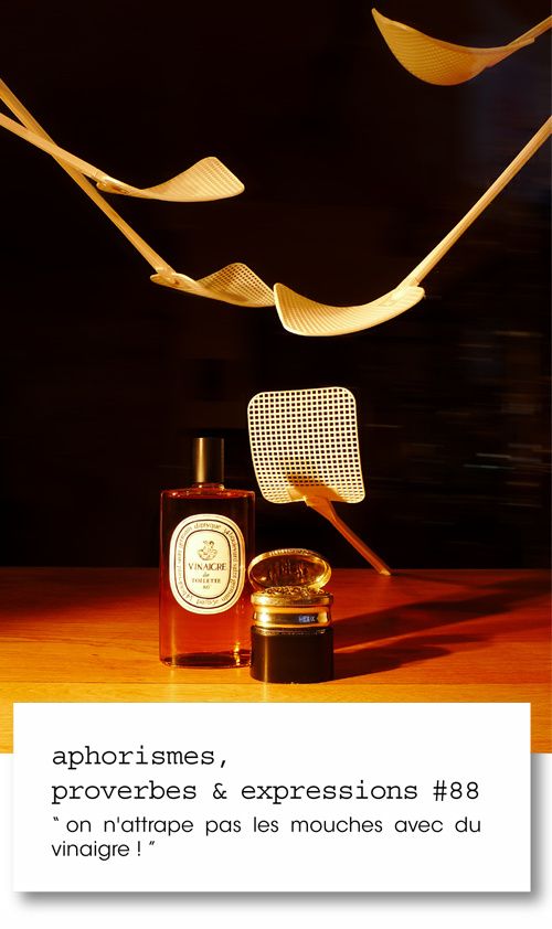 aphorismes, proverbes et expressions #88 - Francine Flandrin F2 on n'attrape pas les mouches avec du vinaigre !