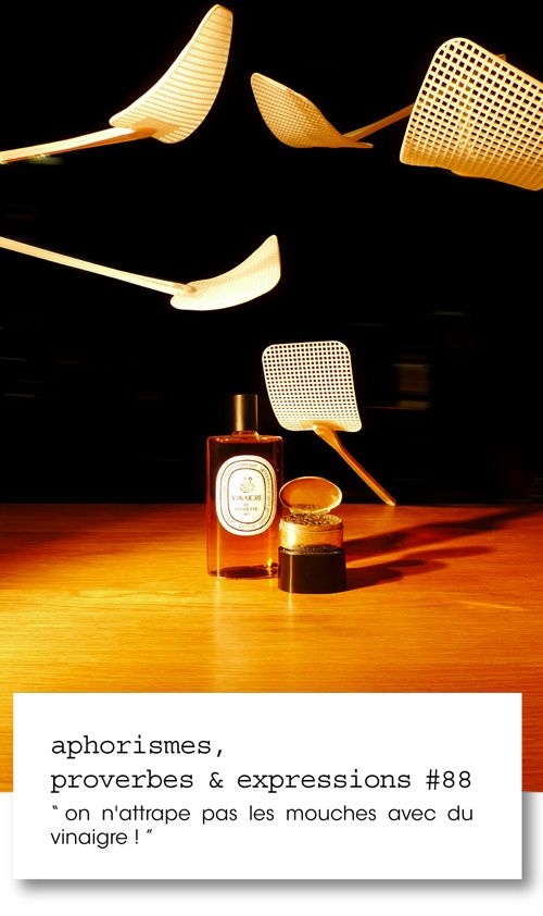 aphorismes, proverbes et expressions #88 - Francine Flandrin F2 on n'attrape pas les mouches avec du vinaigre !