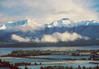 teanauwintersmallnz8.jpg