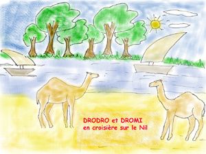 drodro-et-dromi-sur-le-nil.jpg