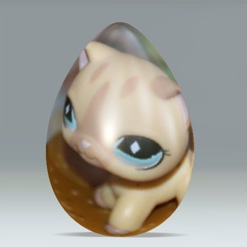oeuf-petshop-photofarfouille-dumpr