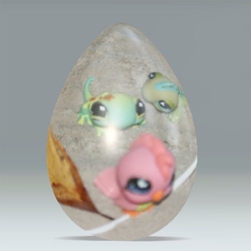 oeuf-petshop-photofarfouille-dumpr