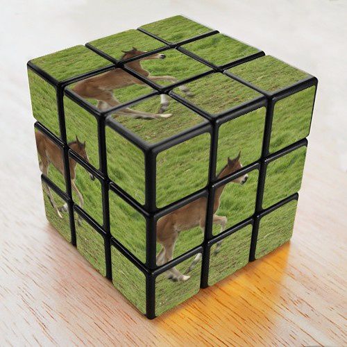 rubik-cube-marie-animallamina (2)
