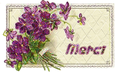 merci violettes