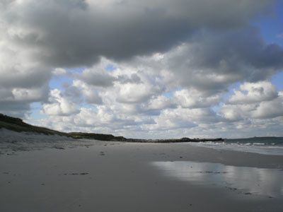 P10602551