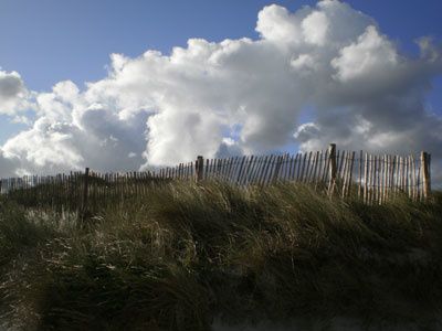 P10602771.jpg