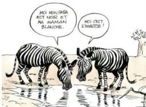 racisme-300x221.jpg