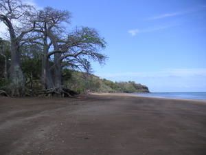 PICT0018.JPG