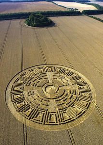 crop-circle-maya.jpg