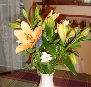 fleurs-delis-1-copie-1.jpg