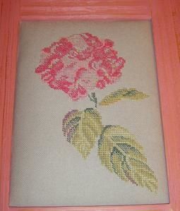 hortensia-rose.jpg