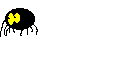 araignees-48.gif