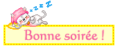 bonsoiree_022.gif