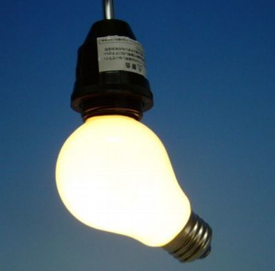 lamplamp.jpg
