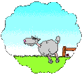 Moutons----compter.gif