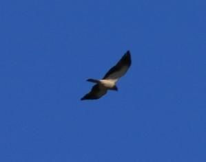 20071110-9-79.jpg