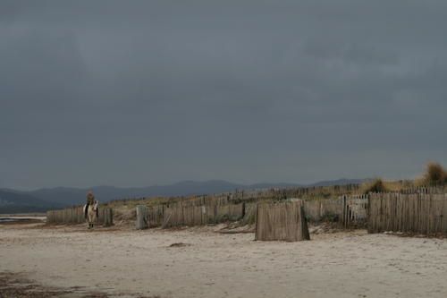 20080105-9-11.JPG