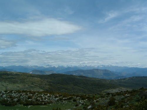 DSCF1169.JPG