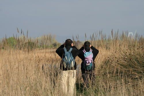 20080315_9_9.JPG