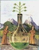 vitryol-philosophique-or-vert.jpg