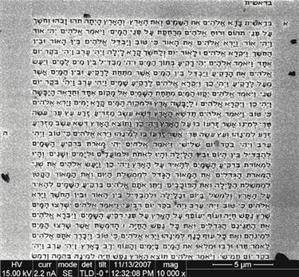 2441438144-des-scientifiques-israeliens-mettent-la-bible-sur-une-tete-d.jpg