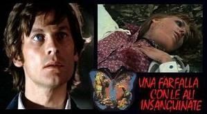Farfalla-con-le-ali-insanguinate-01.jpg