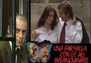 Farfalla-con-le-ali-insanguinate-02.jpg