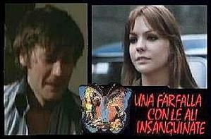 Farfalla-con-le-ali-insanguinate-04.jpg