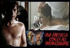Farfalla-con-le-ali-insanguinate-06.jpg