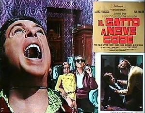 gatto-a-nove-code-31.jpg