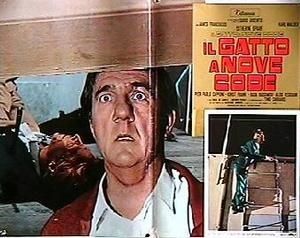 gatto-a-nove-code-33-copie-1.jpg