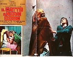 gatto-a-nove-code-34.jpg