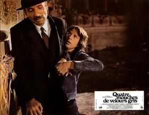 Quattro-mosche-di-velluto-grigio-42.jpg