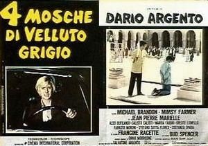 Quattro-mosche-di-velluto-grigio-58.jpg
