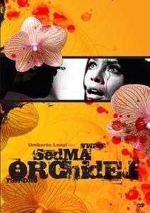 Sette-orchidee-macchiate-di-rosso-aff7.jpg