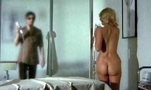 Tarantola-dal-ventre-nero-27.jpg