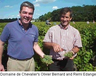 06-dm-chev-remi-oliv.jpg