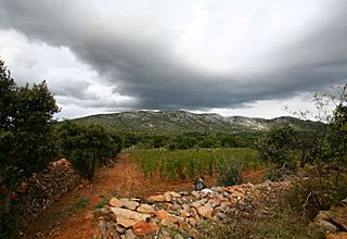 2006.jpg