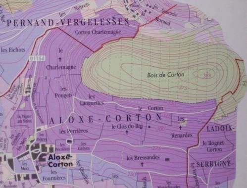 corton-charlemagne.jpg