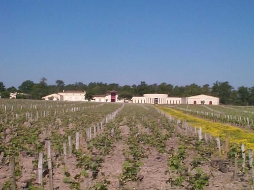 domaine-de-Chevalier.jpg