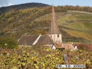niedermorschwihr01.jpg