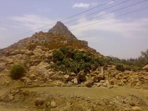 03082007388.jpg
