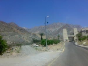 20072007178.jpg