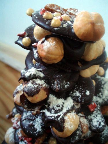 photo-sapin-detail.JPG