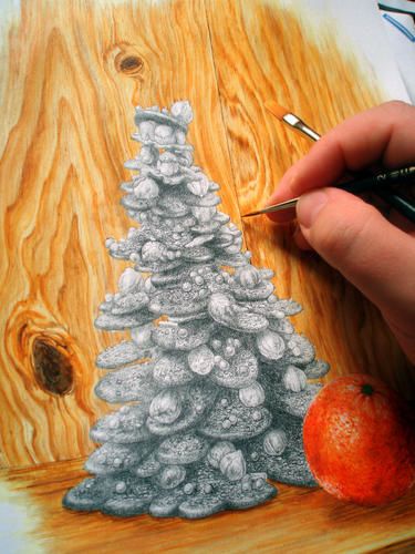 sapin-peignant-edited.JPG